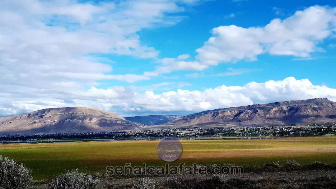Calafate frente